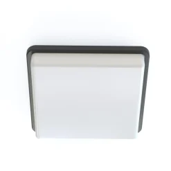 Sklep Kaja Czarny plafon, lampa sufitowa, IP44 10038 | Kaja Oświetlenie* Lampy Do Łazienki