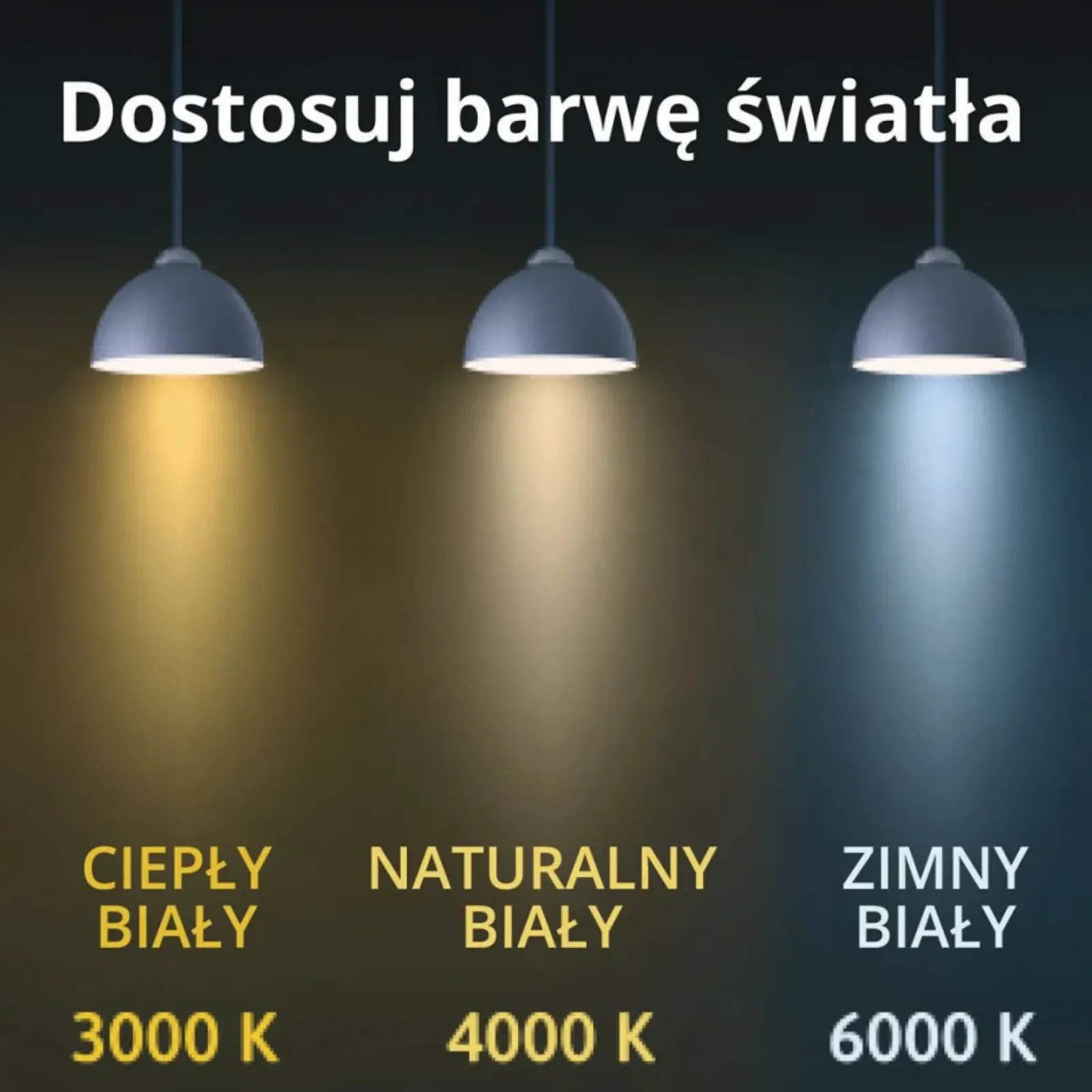 Sklep Kaja Duża lampa wisząca, koło LED ⌀80cm LP-909/1P L BK CCT RING | Kaja Cheap