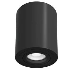 Sklep Kaja Klasyczny, ruchomy reflektor tuba C016CL-01B ALFA | Kaja Oświetlenie* Plafony Nowoczesne