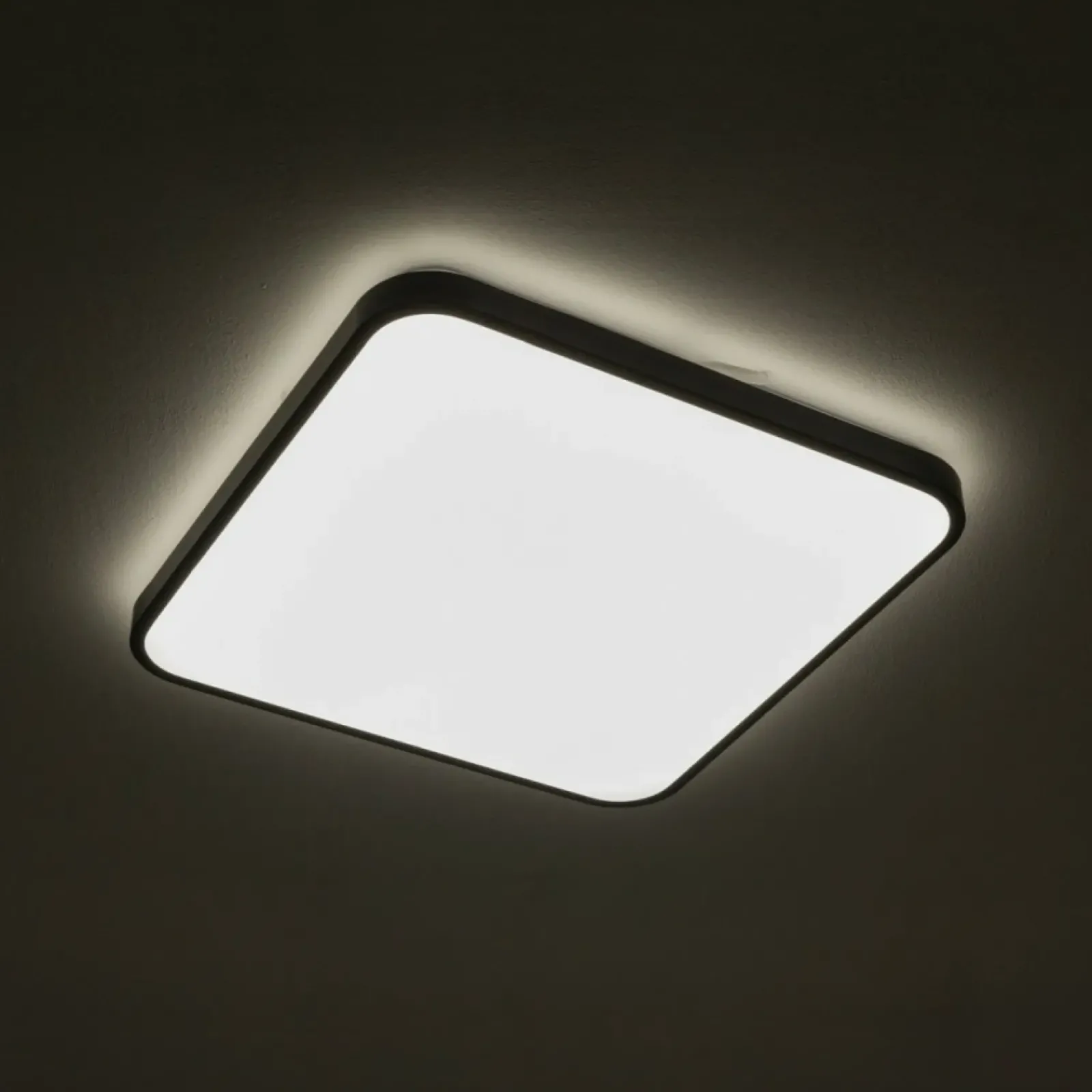 Sklep Kaja Lampa LED do łazienki IP44 43,5x43,5cm 3000K 10985 AGNES LED | Kaja* Lampy Do Łazienki|Plafony Nowoczesne