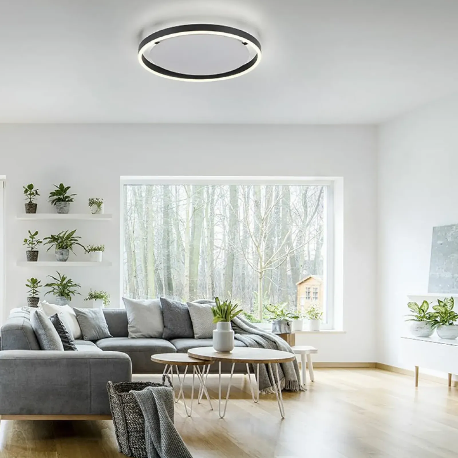 Sklep Kaja Lampa sufitowa - czarny świecący okrąg 15391-13 z serii RITUS | Kaja antracyt New