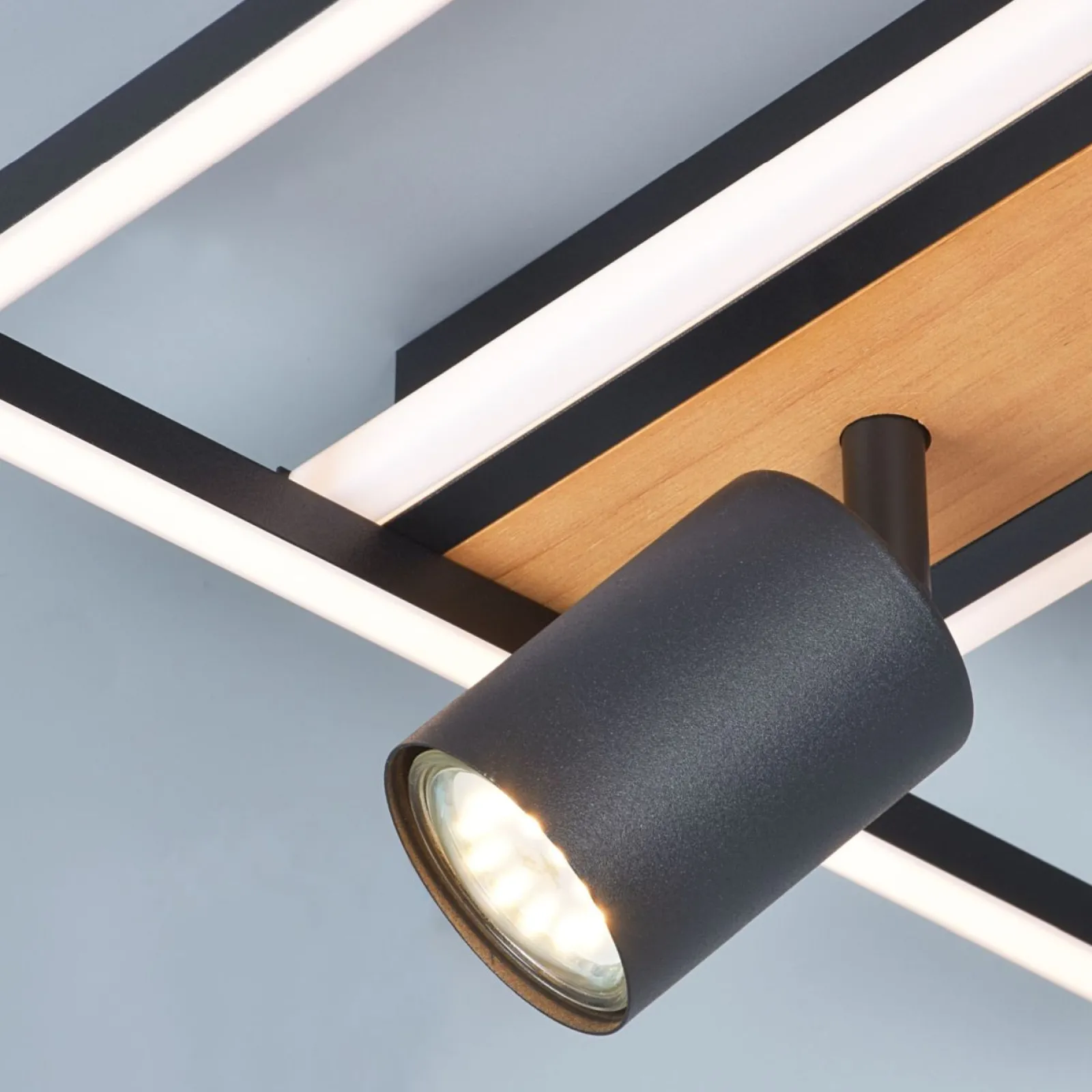 Sklep Kaja Lampa sufitowa LED z reflektorami, do holu C230857704 KORDA| Kaja* Plafony Nowoczesne|Lampy Led