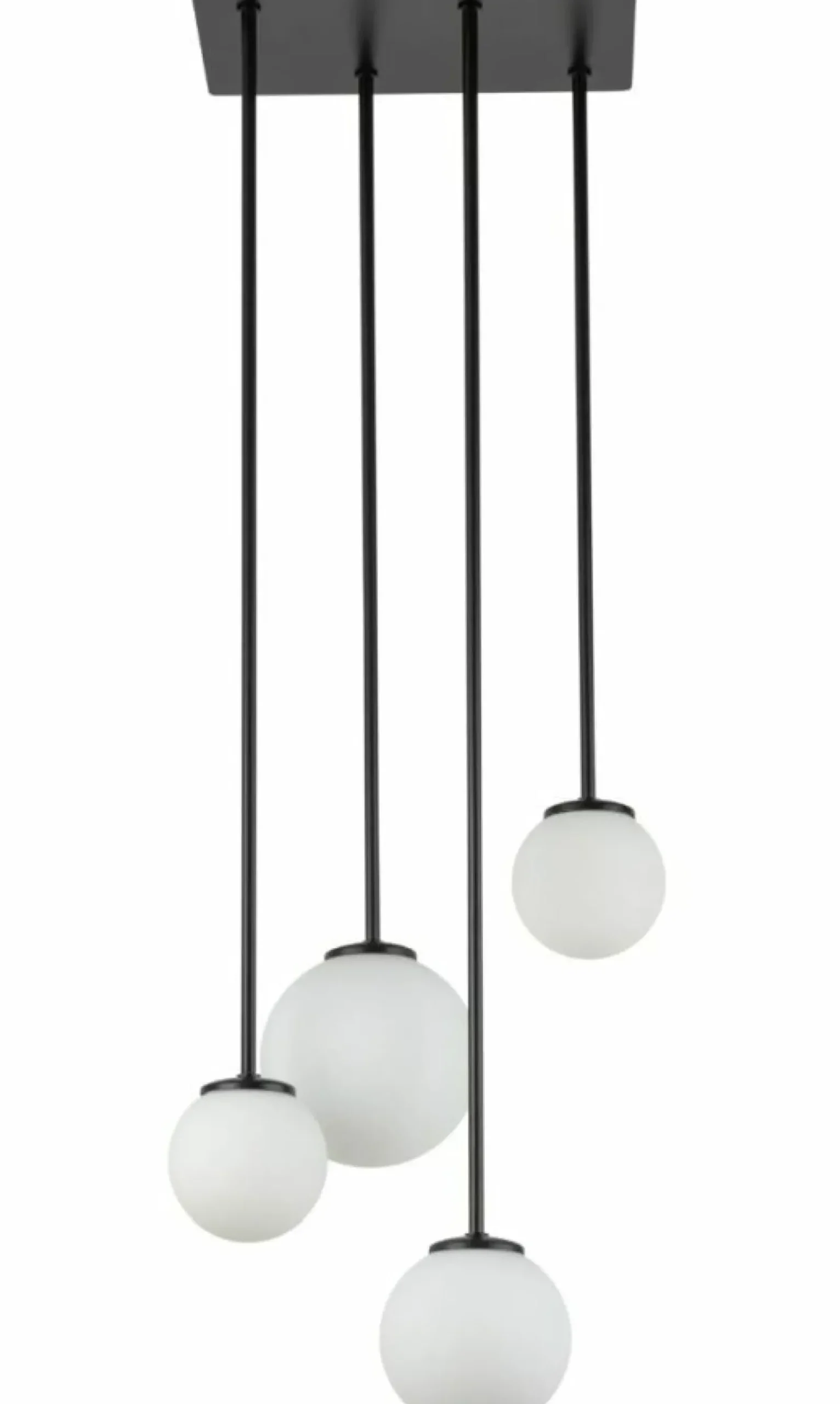 Sklep Kaja Lampa wisząca z kloszami na sztywnych zwisach SIG 33503 TULIA | Kaja Shop
