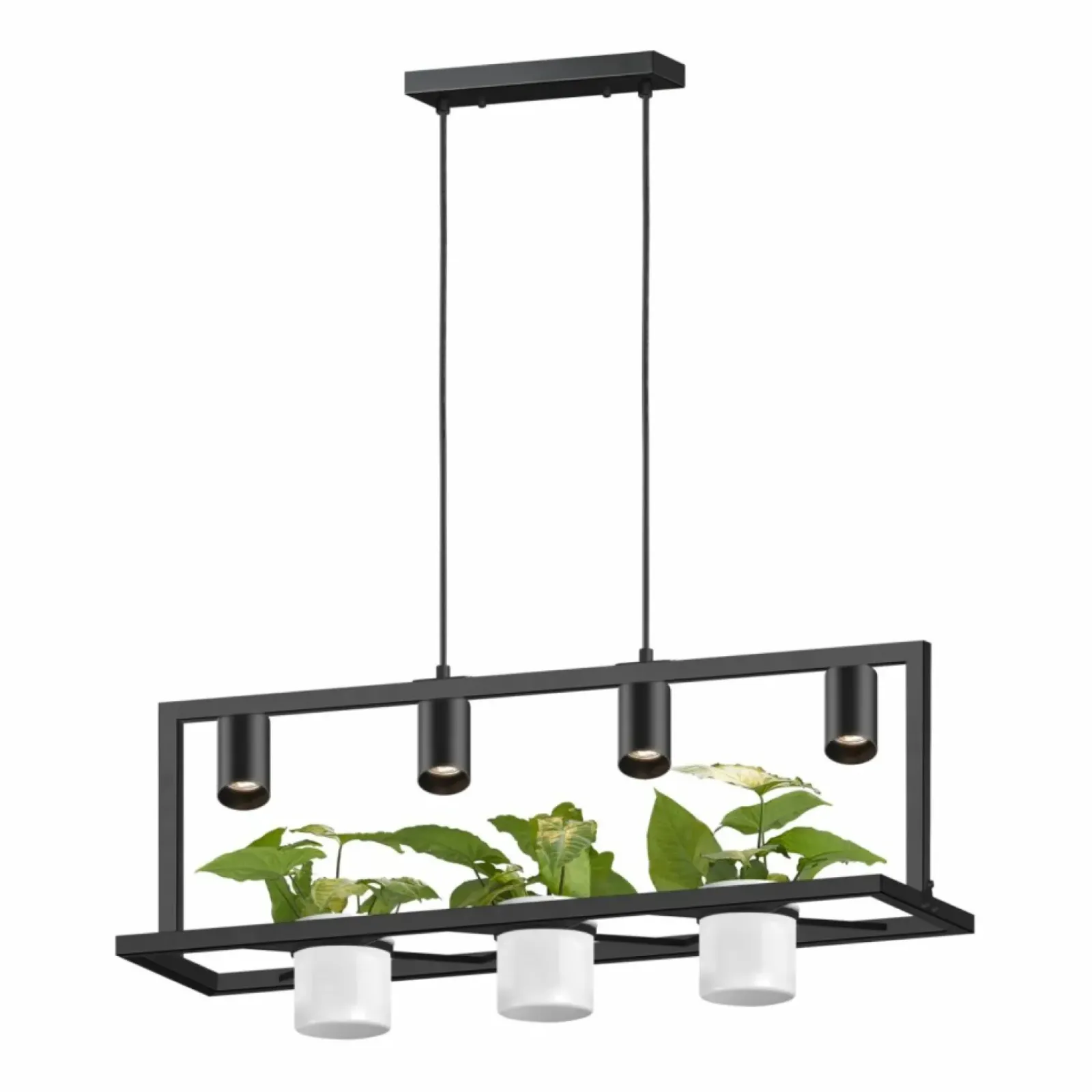 Sklep Kaja Lampa wisząca z miejscem na kwiaty P0536-04B-P7AB PLANTER | Kaja Hot
