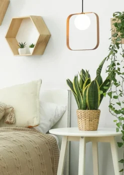 Sklep Kaja Lampa wisząca złoty kwadrat G9 LEDEA 50101073 TULA | Kaja Oświetlenie Flash Sale