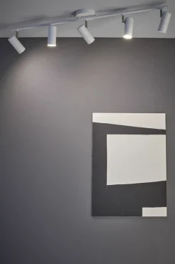 Sklep Kaja Lampa ze spotami z regulacją kąta świecenia 107352 | Kaja Oświetlenie Store