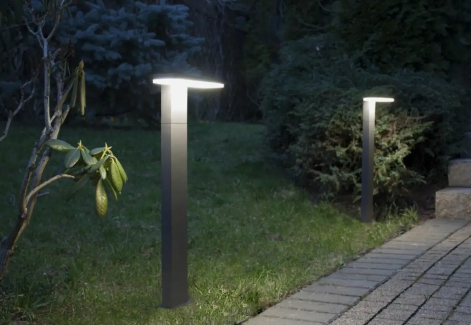 Sklep Kaja Ledowa lampa elewacyjna, nowoczesna 17601 DG z serii FLER | Kaja Oświetlenie* Kinkiety Ogrodowe