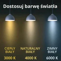 Sklep Kaja Nowoczesna lampa wisząca koło ⌀66cm LP-909/1P M BK CCT RING | Kaja Shop