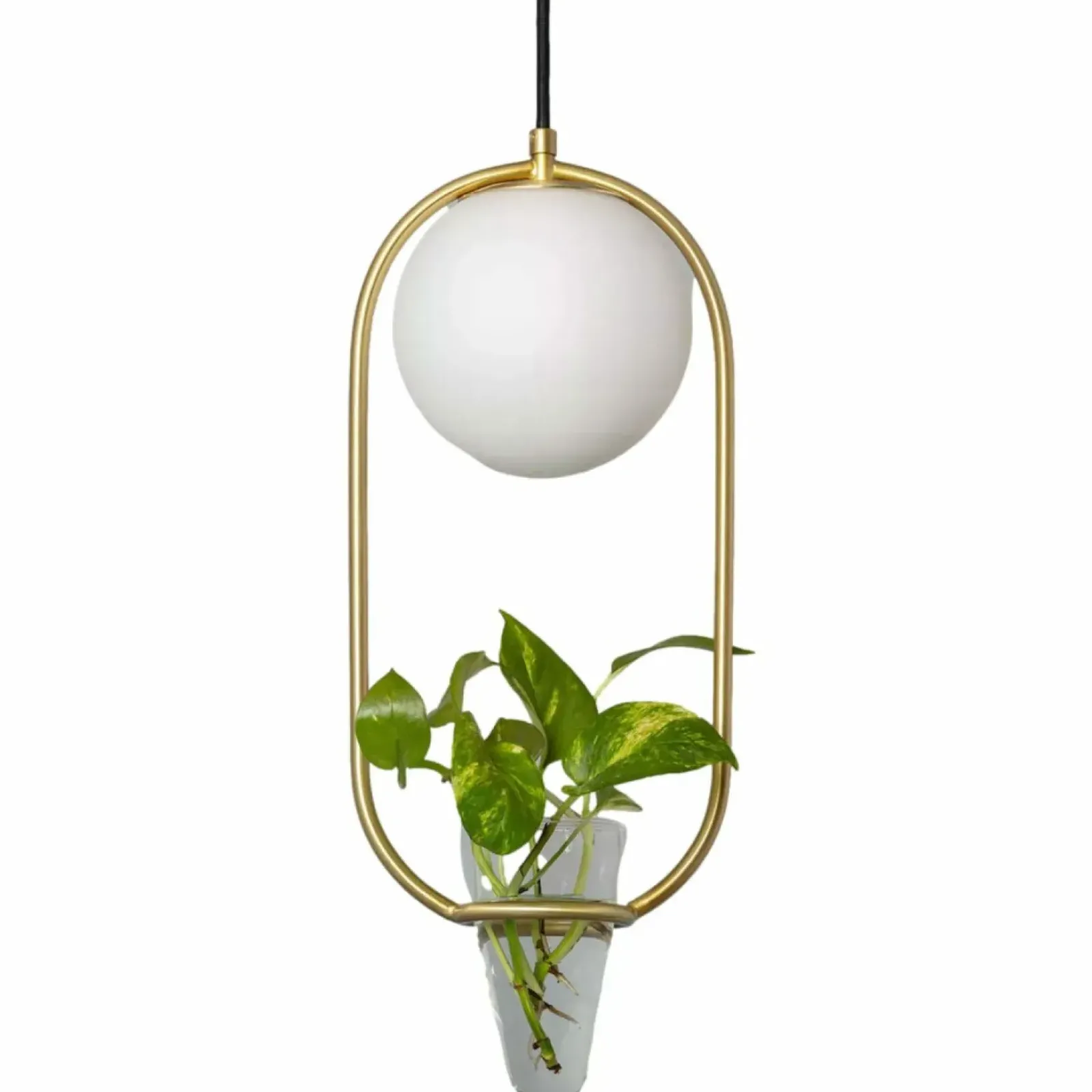 Sklep Kaja Owalna lampa z miejscem na kwiaty ABR-LWU-E27 MILANO | Kaja złoty Discount