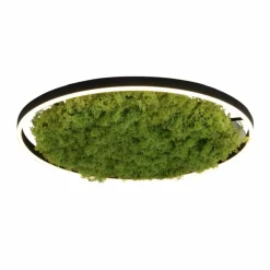 Sklep Kaja Plafon LED z naturalnym mchem, do salonu 15392-66 GREEN RITUS | Kaja* Lampy Led|Plafony Nowoczesne