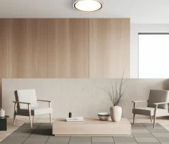 Sklep Kaja Plafon ze zmienną barwą światła PLF-63728-3K4K6K-GD-WH-SL RENDE | Kaja* Lampy Led|Plafony Nowoczesne
