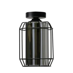 Sklep Kaja Pojedyncza lampa natynkowa z dymionym kloszem 31-08404 z serii JONERA* Plafony Nowoczesne