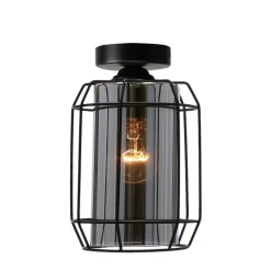 Sklep Kaja Pojedyncza lampa natynkowa z dymionym kloszem 31-08404 z serii JONERA* Plafony Nowoczesne
