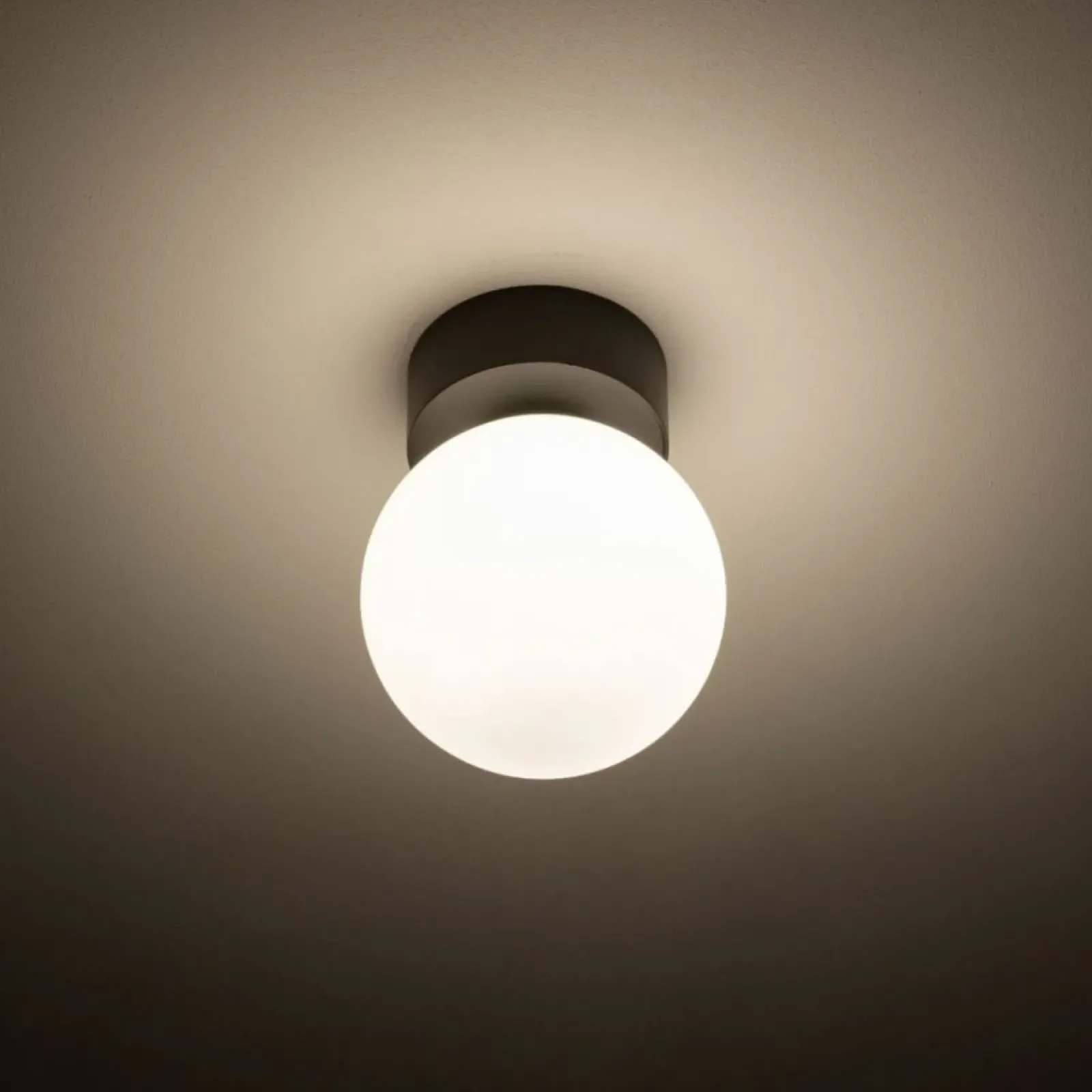 Sklep Kaja Pojedyncza lampa sufitowa z okrągłym kloszem 10302 KIER | Kaja* Plafony Nowoczesne