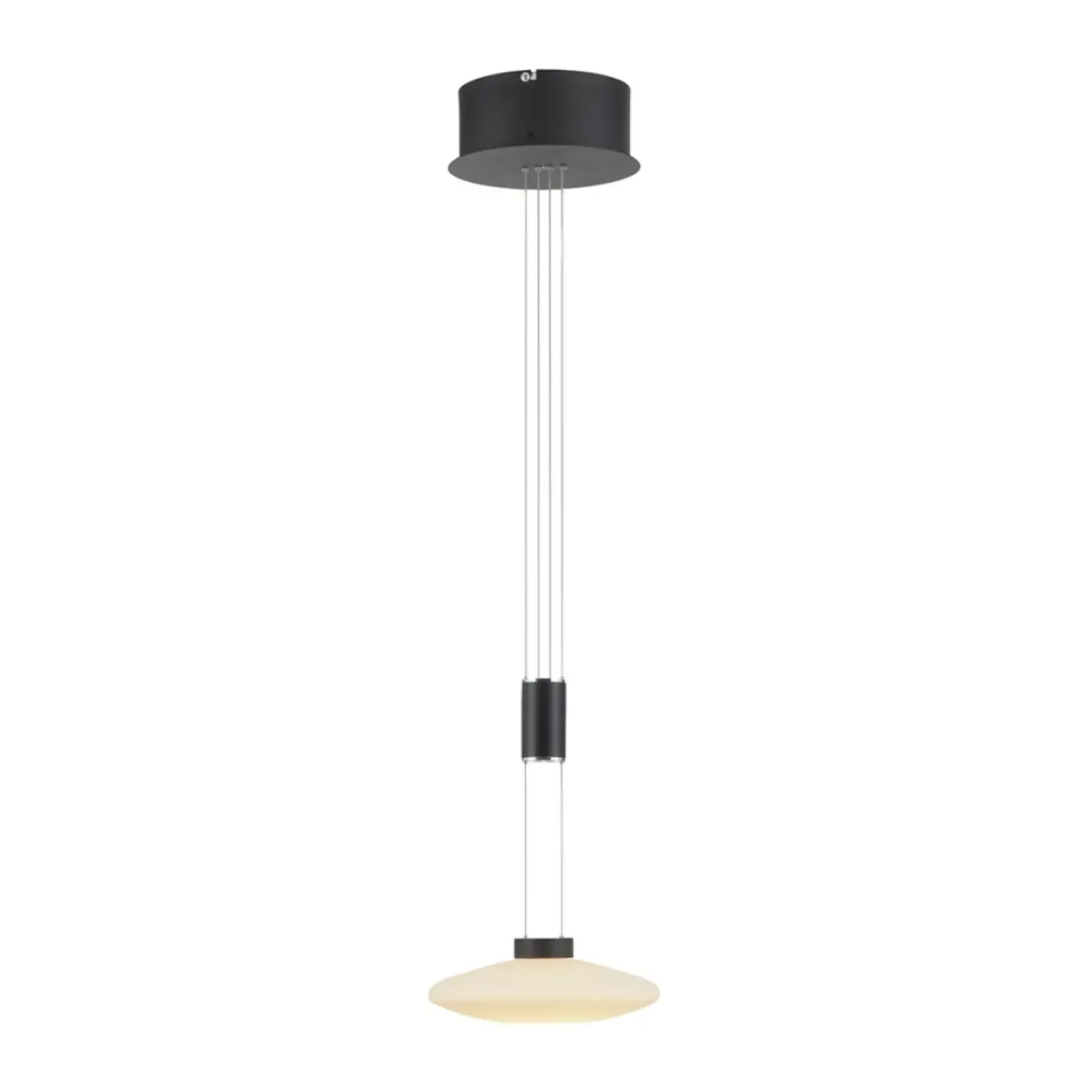 Sklep Kaja Pojedyncza lampa wisząca LED z pamięcią 2080-18 z serii LAUTADA | Kaja czarny Cheap