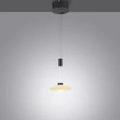 Sklep Kaja Pojedyncza lampa wisząca LED z pamięcią 2080-18 z serii LAUTADA | Kaja czarny Cheap