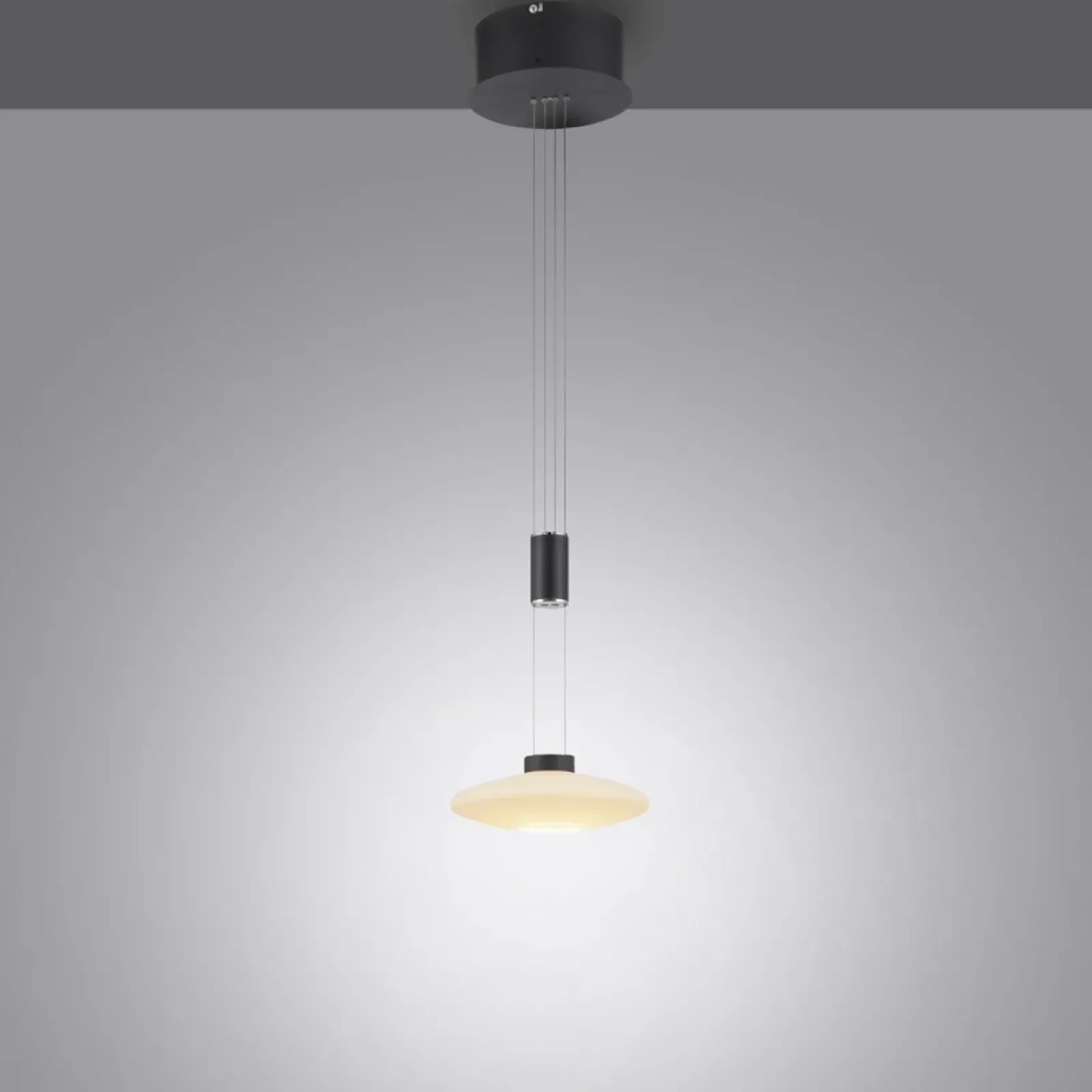 Sklep Kaja Pojedyncza lampa wisząca LED z pamięcią 2080-18 z serii LAUTADA | Kaja czarny Cheap