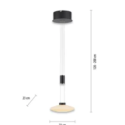 Sklep Kaja Pojedyncza lampa wisząca LED z pamięcią 2080-18 z serii LAUTADA | Kaja czarny Cheap