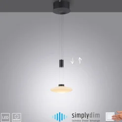 Sklep Kaja Pojedyncza lampa wisząca LED z pamięcią 2080-18 z serii LAUTADA | Kaja czarny Cheap