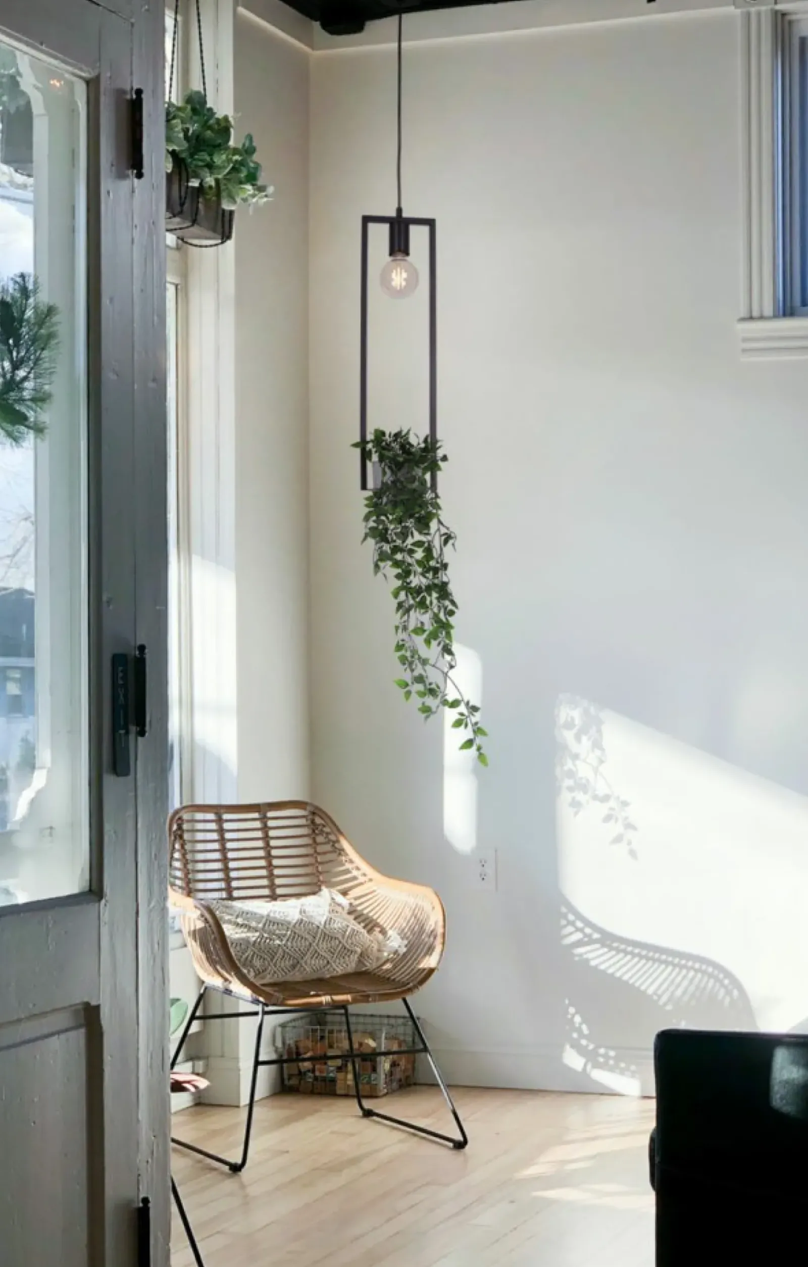 Sklep Kaja Pojedyncza lampa wisząca z funkcją kwietnika K-4037 z serii ESTERA czarny New