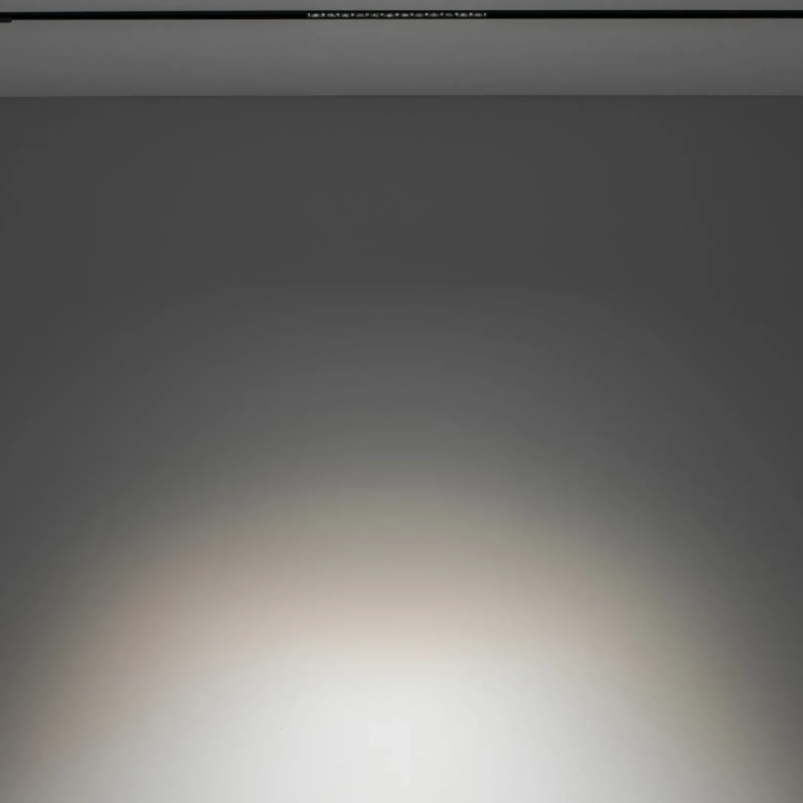 Sklep Kaja Prosty reflektor do szyny magnetycznej 1F 10644 LVM FOCUS LED | Kaja* Szynoprzewody Podtynkowe|Szynoprzewody Natynkowe