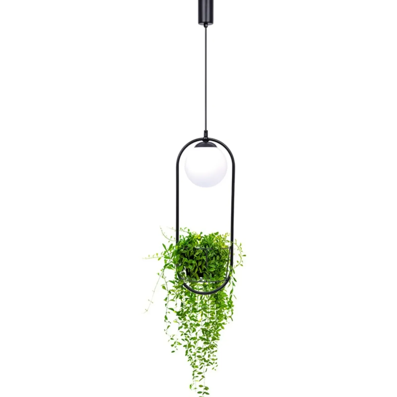 Sklep Kaja Stylowa lampa wisząca z miejscem na doniczkę 5003 z serii PLANT | Kaja Fashion